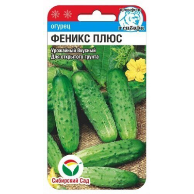 Семена Огурец Феникс плюс 7шт (Сиб Сад)