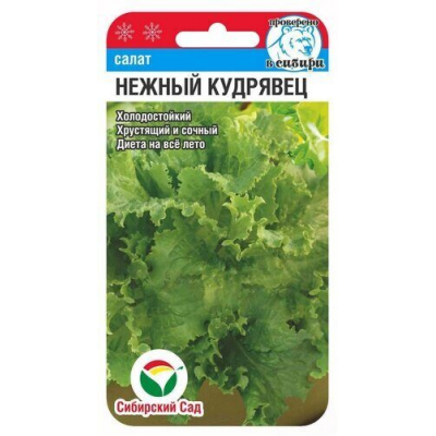 Семена Салат Нежный кудрявец 0,5гр (Сиб Сад)
