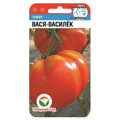 Семена Томат Вася-Василек 20шт (Сиб Сад)