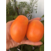 Семена Томат Олеся 20шт (Сиб Сад)