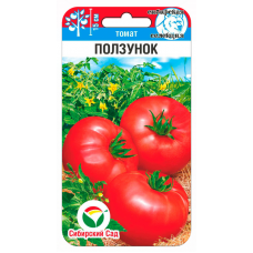 Семена Томат Ползунок 20шт (Сиб Сад)