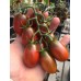 Томат десертный Чернослив, 20 семян (Сибирский Сад)