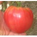 Томат тяжеловес Шапка Мономаха, 20 семян (Сиб сад)