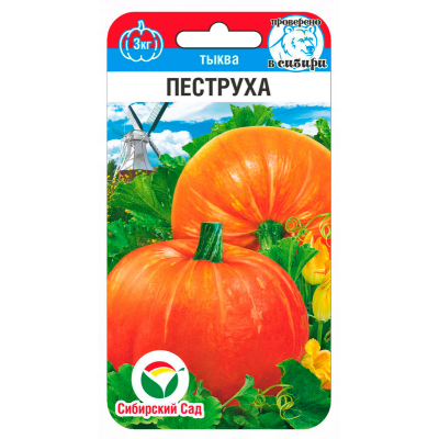 Семена Тыква Пеструха 5шт (Сиб Сад)