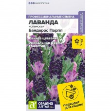 Лаванда испанская Бандерос парпл (Семена Алтая)