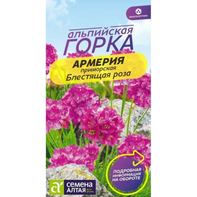 Армерия приморская Блестящая роза (Семена Алтая)