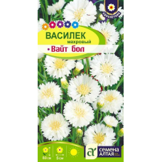 Василек Вайт бол (Семена Алтая)