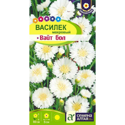 Василек Вайт бол (Семена Алтая)