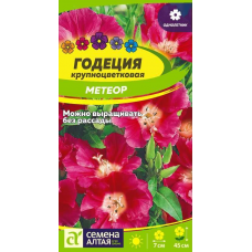 Годеция крупноцветковая Метеор (Семена Алтая)