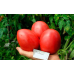 Томат крупноплодный Настенька 0,05г (Семена Алтая)