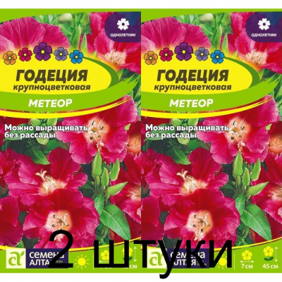 Годеция крупноцветковая Метеор (Семена Алтая) -2шт