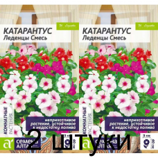 Катарантус Леденцы, смесь (Семена Алтая) -2шт