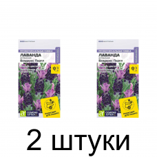 Лаванда испанская Бандерос парпл (Семена Алтая) -2шт