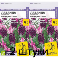 Лаванда испанская Бандерос пинк (Семена Алтая) -2шт