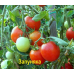 Томат стелющегося типа Запуняка 0,05г (Семена Алтая) -2шт