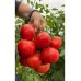 Томат непасынкующийся Мамонтенок, 5 семян (Семена Алтая) -2шт