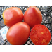 Томат Настенька 0,05г (Семена Алтая) -2шт