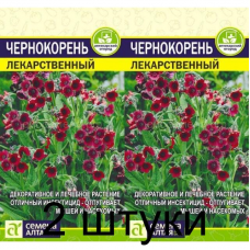 Чернокорень Лекарственный (Семена Алтая) -2шт
