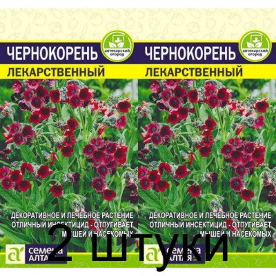 Чернокорень Лекарственный (Семена Алтая) -2шт
