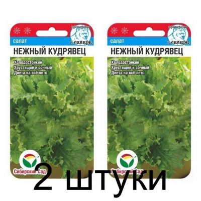 Семена Салат Нежный кудрявец 0,5гр (Сиб Сад) -2шт