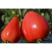 Томат крупноплодный Орлиное сердце, 20 семян (Сибирский сад) -2шт