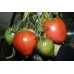 Томат Буденовка (Семена Аэлита)