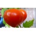 Томат Буденовка (Семена Аэлита)