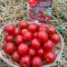 Томат карликовый Клюква в сахаре, 20 семян (серия Суперхит 21 века - Аэлита)