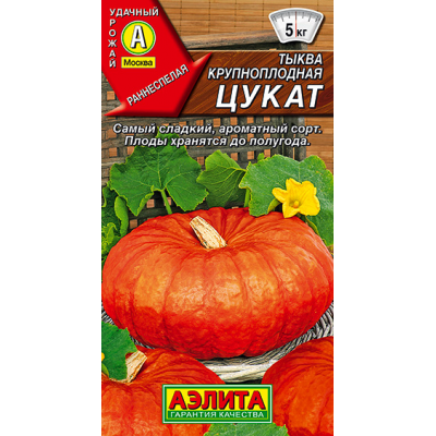 Тыква крупноплодная Цукат (Семена Аэлита)