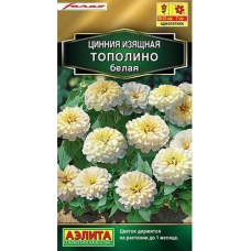 Цинния изящная Тополино белая (Семена Аэлита)
