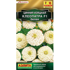 Цинния Клеопатра F1, белая (Семена Аэлита)