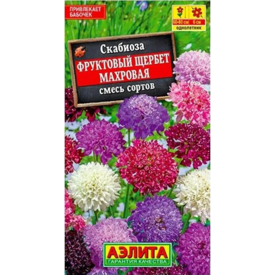 Скабиоза махровая Фруктовый щербет, смесь (Семена Аэлита)