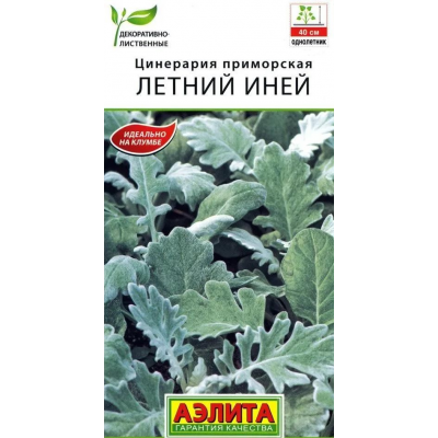 Цинерария приморская Летний иней (Семена Аэлита)