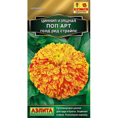 Цинния изящная Поп арт голд ред страйпс (Семена Аэлита)