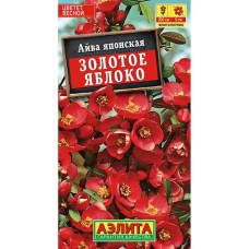 Айва японская Золотое яблоко (Семена Аэлита)