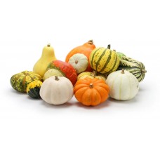 Тыква декоративная Сюрприз, смесь (Семена Аэлита)