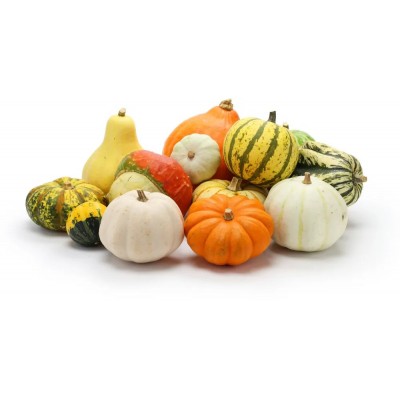 Тыква декоративная Сюрприз, смесь (Семена Аэлита)