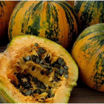 Тыква Голосемянка (Семена Аэлита)
