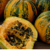 Тыква Голосемянка (Семена Аэлита)