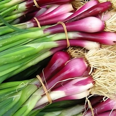Лук на зелень Красный пучок (Семена Аэлита)