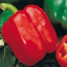 Перец сладкий Чудо чудное красное (Семена Аэлита)