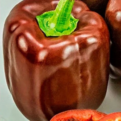 Перец сладкий крупноплодный КОРИЧНЕВЫЙ КУБ (Семена Аэлита)