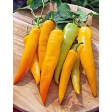 Перец острый Харви (Семена Аэлита)