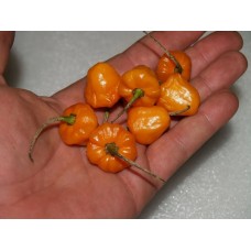 Перец острый Пламенный привет (Семена Аэлита)