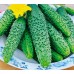 Огурец Обыкновенное чудо F1 (Семена Аэлита)