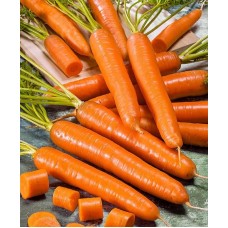 Морковь Ранняя сладкая, гранулы (Семена Аэлита)