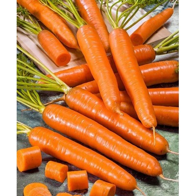 Морковь Ранняя сладкая, гранулы (Семена Аэлита)