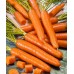 Морковь Ранняя сладкая, гранулы (Семена Аэлита)
