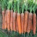 Морковь Нантская улучшенная сахарная, на ленте (Семена Аэлита)