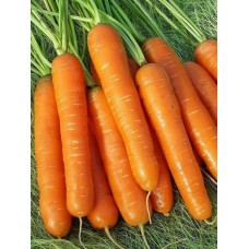 Морковь Нантская 4, на ленте (Семена Аэлита)